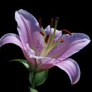 한누리 행정사사무소 이미지