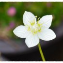 금산농장 이미지