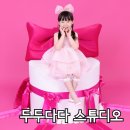 두두장식 | 청라사진관 베이비스튜디오 6살 두돌 아기 생일 기념 사진 두두다다 스튜디오