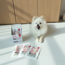 강아지 저칼로리 간식 사료토핑 식스펫 닭고기 추천