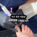 마일리네일