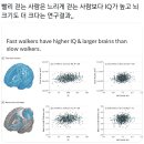별길따라 | 반짝이는 별을 따라 다시 돌아올 길을 찾을 거야