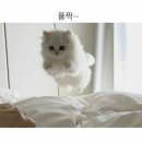 마장호수가든 | [경기/양주] 마장호수 근처 대형식물원 카페 오랑주리