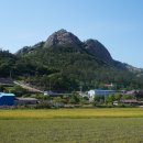 지산(팽목)