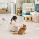 설렘고양이카페 이미지