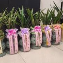 THE(더) 안경원 이미지