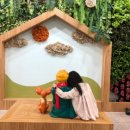 쌍봉도서관 이미지