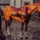 용산-377 이미지