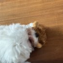 구라경로당 이미지