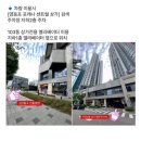 뮤뮤헤어 - 안양시 동안구 | 뮤뮤헤어