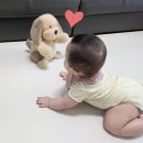 퍼피멜로디 | 춤추고 노래하는 커들반퍼피 강아지 애착인형 추천