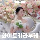 플로리스트 | 화이트 카라부케 온도플라워 호접 드롭부케 본식 후기