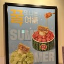설빙 당산점 | [설빙] 설빙 시즌메뉴! 시원하고 달콤해서 안먹을 수가 없는 벌집꿀수박설빙 솔직후기