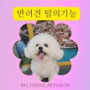 로댕 펫 살롱 이미지