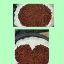 구기자차,만들어 포장 이미지