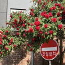 베이크디(BakeD)