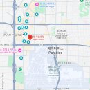 멀티카케어그랜드 | 미국 : 라스베가스 호텔 '그랜드 MGM' 킹베드 숙박 후기 / 저렴하게 예약하는 법 / 리조트피