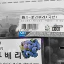 오비야 이미지