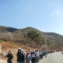 함께 걷는 사람들 이미지