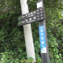 오미주유소 티스토리
