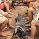 아이펫 동물병원 이미지