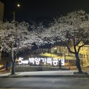 백양가족공원 이미지