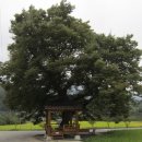 박곡보건진료소 이미지