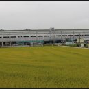 마전1통 이미지