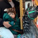 히어로당구장 | 비발디파크 놀거리 부대시설 비바플렉스몰 (회전목마·푸드코트·범퍼카·오락실)