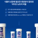 조요소 | 발포형 식물영양제 추천｜닥터조 뉴트리버블 그로잉버블 블루밍버블 사용 솔직 후기