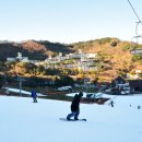 웰리힐리 스키장 이미지