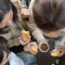봄봄봄