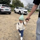 세화어린이집 | [육아일상] 정신없이 지나간 10월 - 2 (제주도여행, 셀프미용😂)