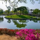 수원-0521 Daum카페