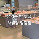 당감 | 유기농 빵 맛집 해월당 당감점, 내돈내산 솔직 후기! 빵 맛집 인정