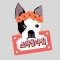 광명화원 이미지
