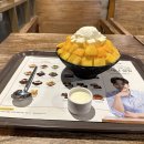 여름에는 꼭 찾는 설빙 내외점에서 먹은 애플망고치즈설빙 후기
