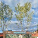 중앙광장 화장실 이미지