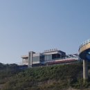 아라마루 이미지