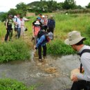 대전둘레산길(6구간) 이미지