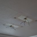 목감중흥S클래스레이크힐스아파트 이미지