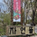풍류돈 이미지