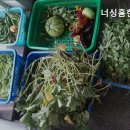 한솔프라자 이미지