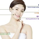 신진전위