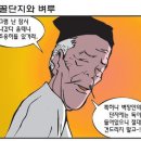 꿀단지