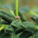 요한이네농장 이미지