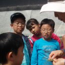 영서초등학교 이미지