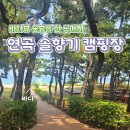 강릉 연곡 솔향기 캠핑장 예약방법, 줍줍성공 A구역 112사이트