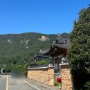 달빛한옥민박 | 전남 강진 여행 가볼만한곳 달빛 한옥마을 둘러보기
