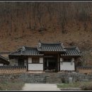 의령 임천정 Daum카페